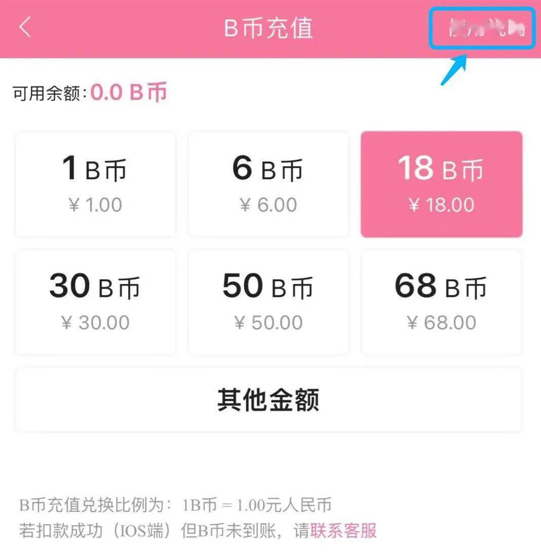 虚拟币不能兑换(虚拟币不能兑换吗)