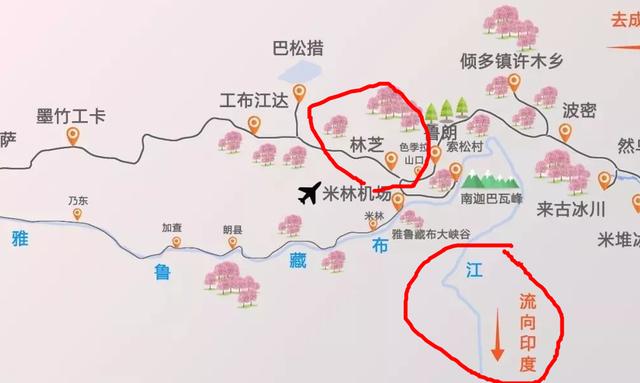 dgd是什么虚拟币的简单介绍