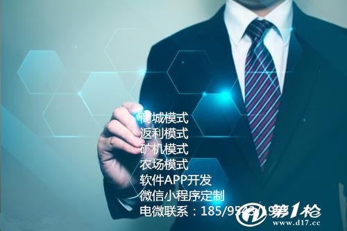 虚拟币定制开发公司(虚拟币系统开发 报价)