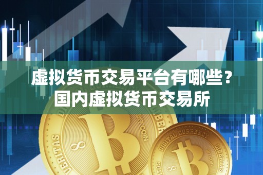虚拟币交易所系统(虚拟币交易所app)
