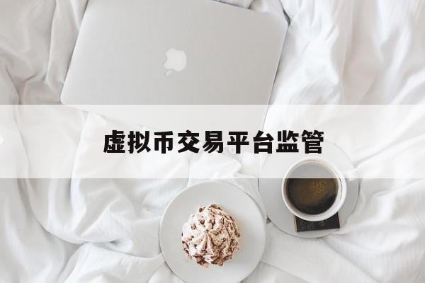 虚拟币交易平台监管(虚拟币交易平台排行榜)