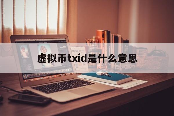 包含虚拟币txid是什么意思的词条